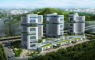 瓯海放大招,助力进口商品集散中心核心区建设 单项最高奖励200万元